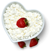 Cottage cheese PNG-48625